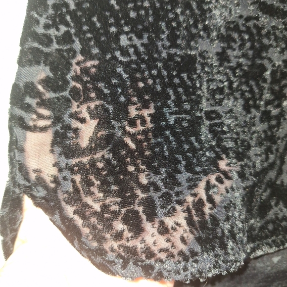 NWT Dear John Verona Spotted Velvet Sheer Top Size S Black Short Sleeve - Picture 7 of 13